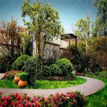 【山東廠區(qū)綠化,工廠綠化設(shè)計(jì),工廠綠化栽植技術(shù)指導(dǎo)圖片】山東廠區(qū)綠化,工廠綠化設(shè)計(jì),工廠綠化栽植技術(shù)指導(dǎo) - 青州市茗茜花卉苗木專業(yè)合作社