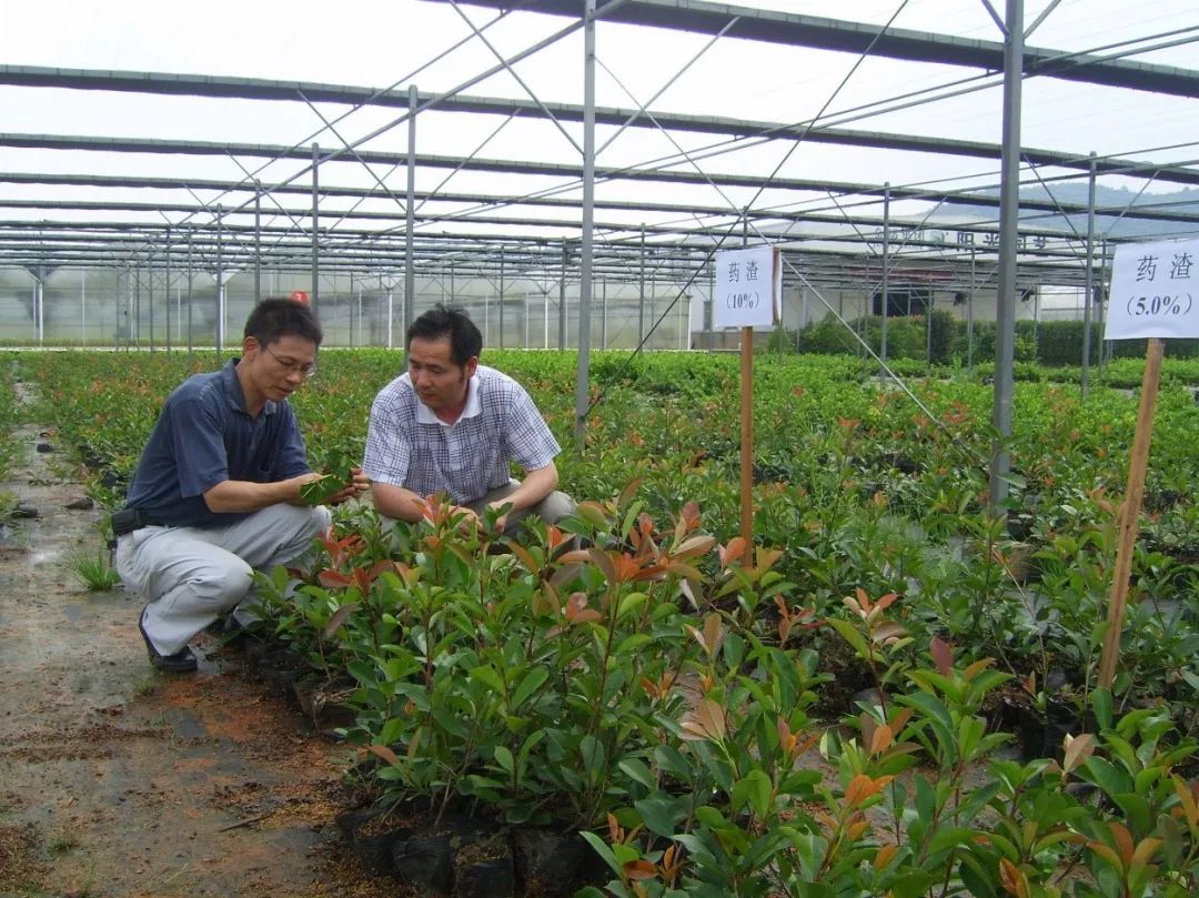 強!花卉苗木生態(tài)種植,綠色陽光農業(yè)生態(tài)公司給你作示范