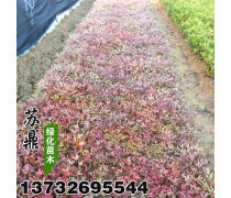 產(chǎn)品庫
