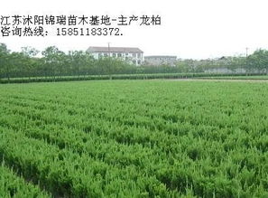 , 生產(chǎn)廠家, 價(jià)格