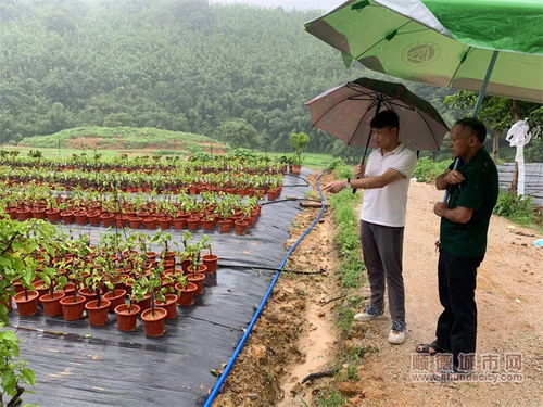 護(hù)航項(xiàng)目落地,共繪古水鎮(zhèn)鄉(xiāng)村振興美麗畫卷