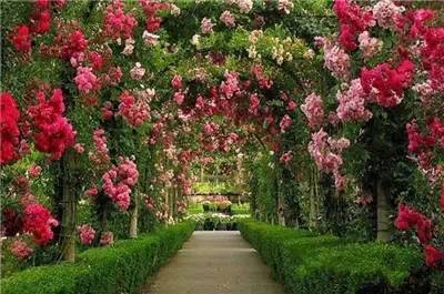 全球最美花園,沒(méi)有之一
